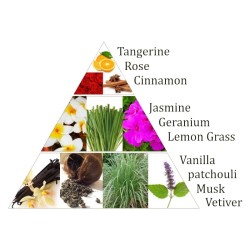 Briques d'encens Chakra 2°chakra _ Aromafume