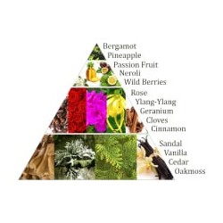 Briques d'encens Chakra 4°chakra _ Aromafume